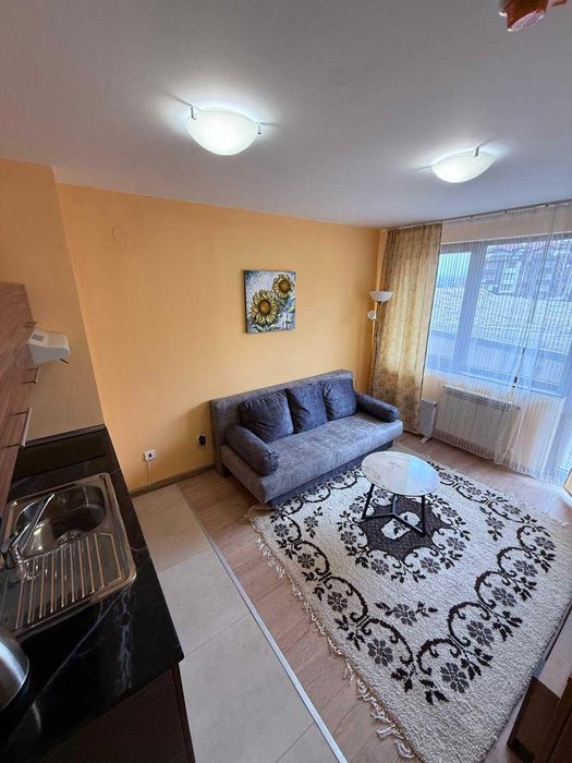 Продава се Едностаен апартамент в Банско - 25 кв.м за 1019 €/кв.м - Снимка #9