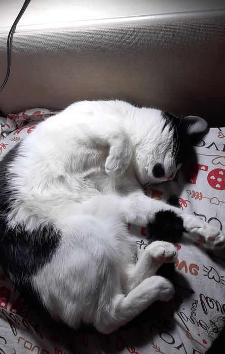 В самые добрые и ответственные руки