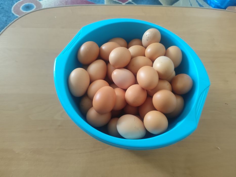 Домашние куриные яйца