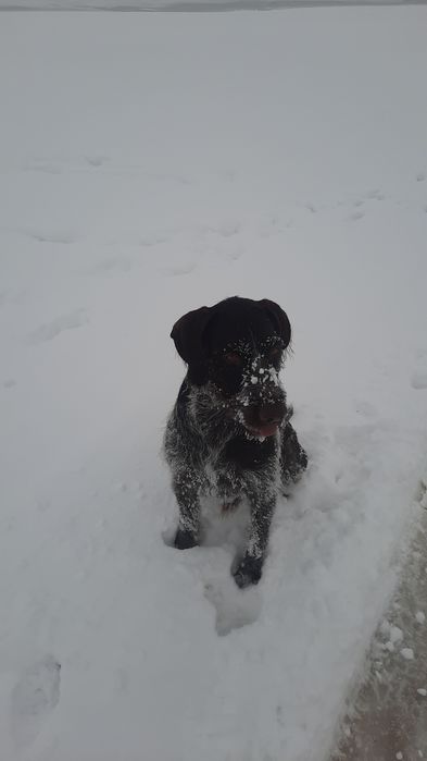 Ищем невесту для парня.