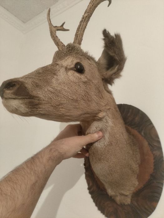 Продаю вещей по баню