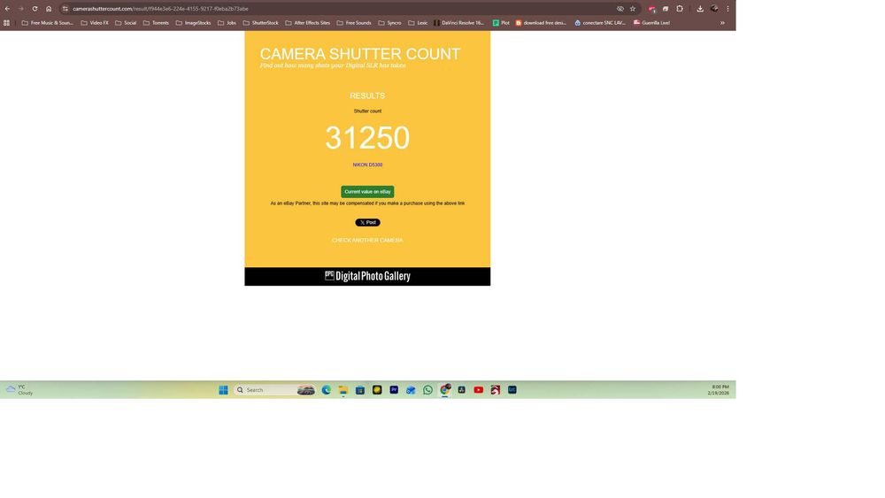 Nikon D5300 cu obiectiv NIkkor 55-200 si Sigma 17-50 f2.8