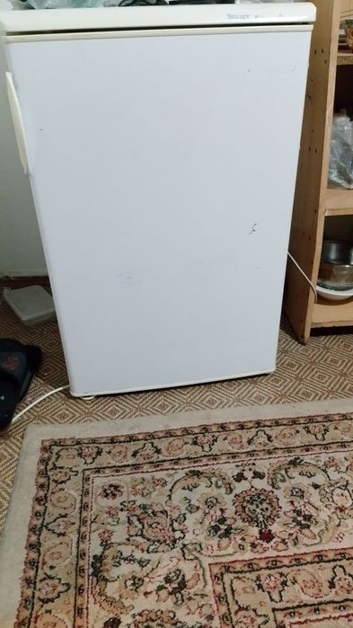 Холодильник snaige