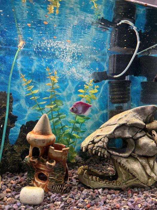 Продам Аквариум на 144 литра