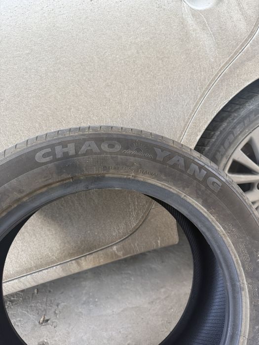 Резина 225/55/18