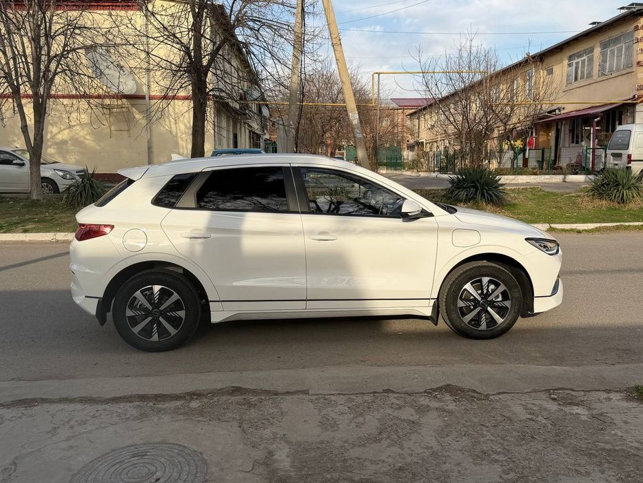 BYD E2  2024 arenda