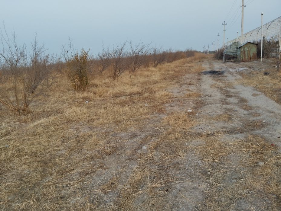 Анор бог 5 йиллик