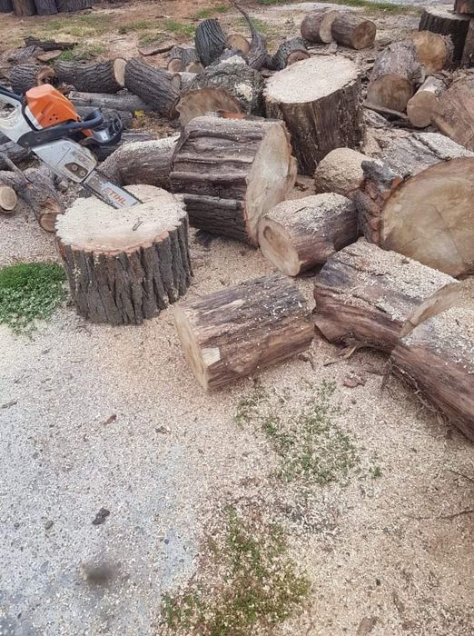 Defrișări/Cosit Iarbă/Tăiere Arbori/De Mari Dimensiuni.