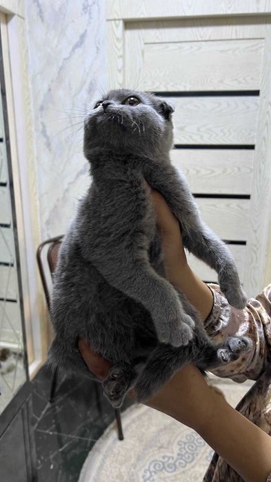 Eng qizgin jinsiy filmlar