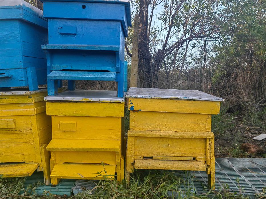 Продавам 13 празни кошери Даданблат