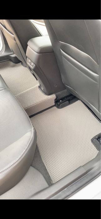 Ева Коврики, Эва полики