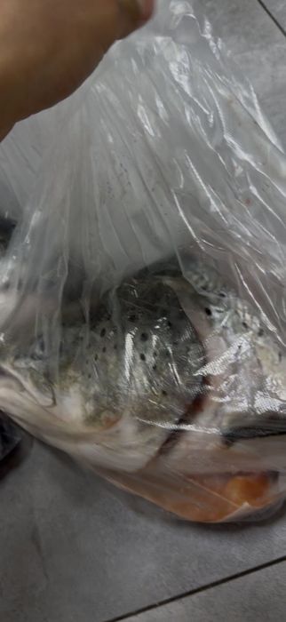 Семга голова для супа