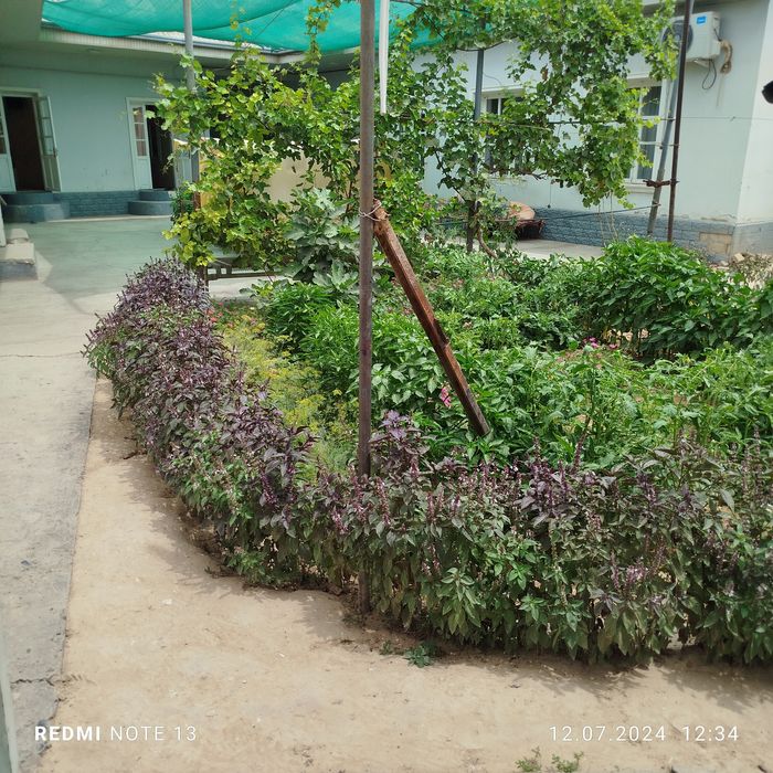 Продается дом. Файзобод.