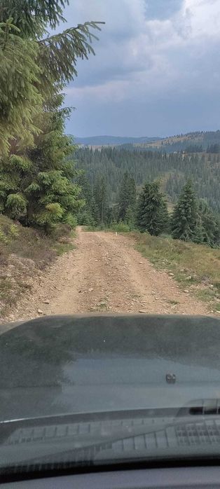 Teren in muntii Apuseni,Belis-Cluj