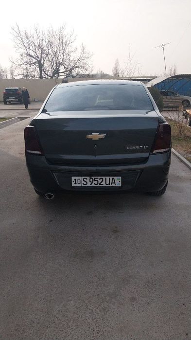 Kobilt yaxwi mowina ezilmagan