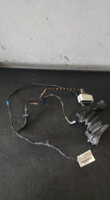 Instalatie electrica usa stanga spate seat leon 1p1 1pd