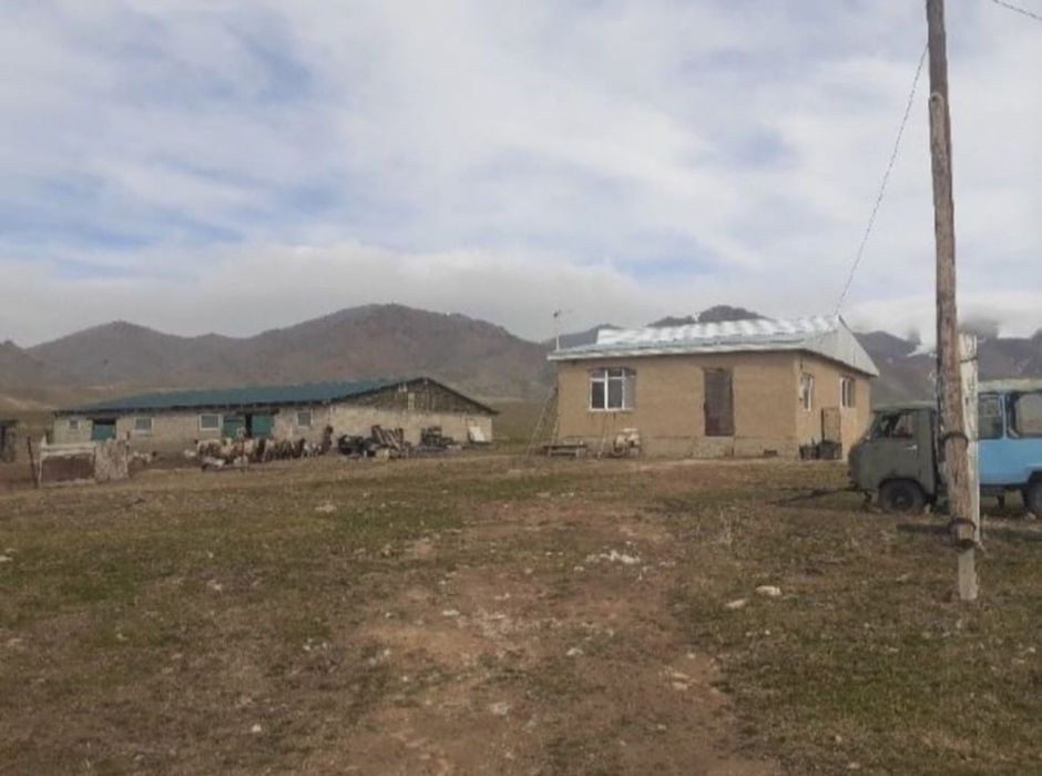 уй сатылады мал устағанға колайлы