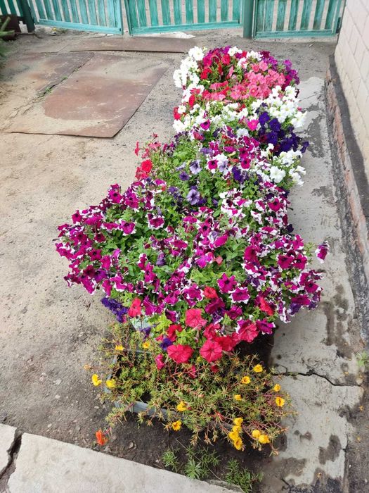 Продам дачу. Ромашка