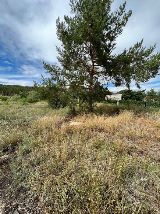 Продам участок на Бухтарме.