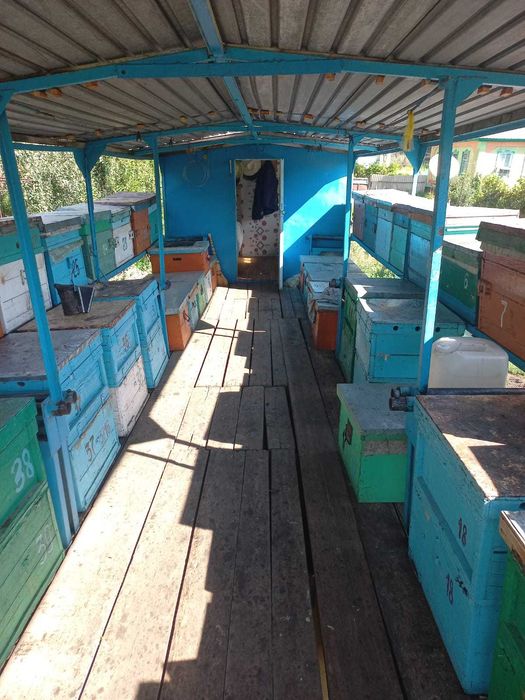 Павильон для пчёл (пчелопавильон)