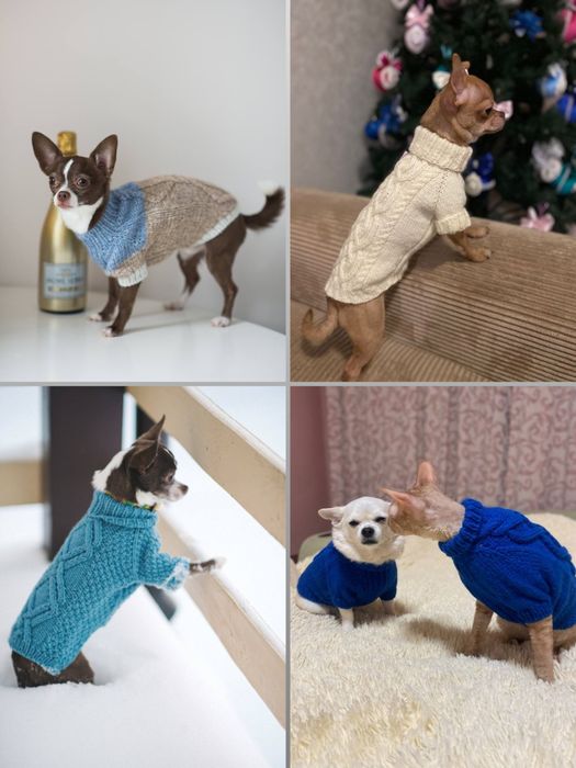 Одежда для собак!Чихуахуа, йорков, той-терьеров и другие породы