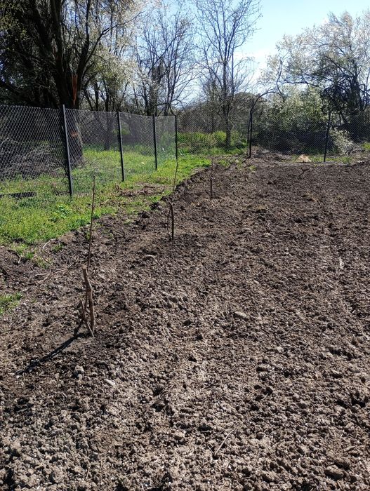 Продавам къща с двор в село Варана , община Левски .