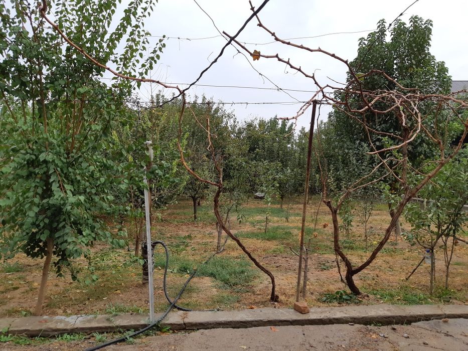 Nazarbekda uy sotiladi