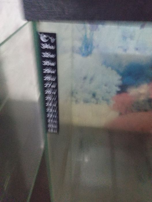 Продам два аквариума,