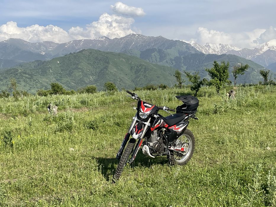 Эндуро FMZ                    …………………………………….