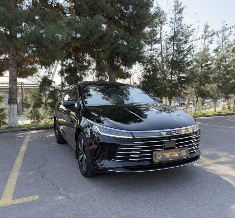 Byd chazor мудатли толовга