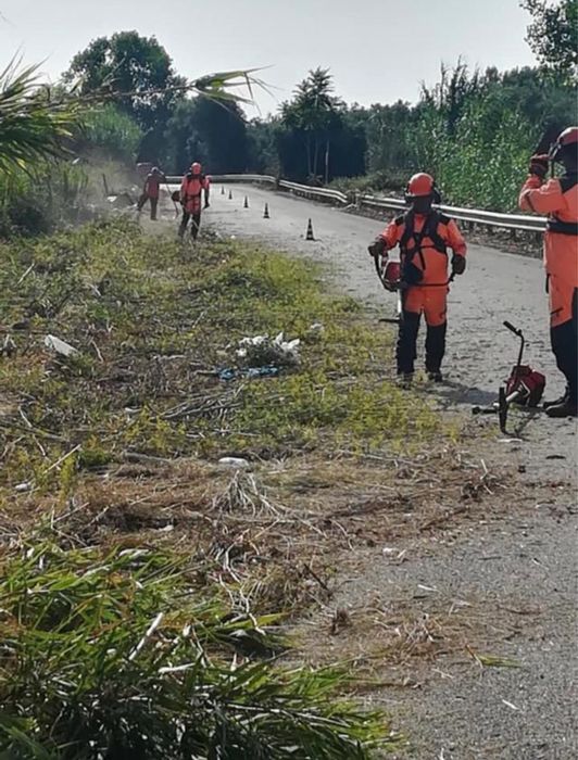 Ai un teren neingrijit? Îl transformam rapid