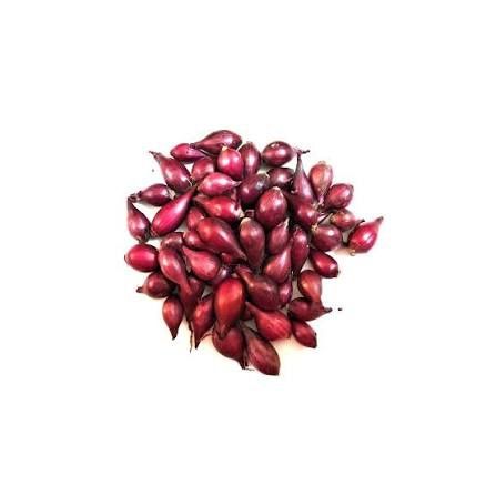 Arpagic roșu cultivat cu îngrășământ de grajd,bun de semănat,19 lei/kg