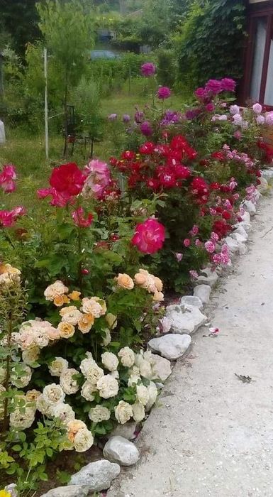 Продава се Къща в с. Батово, Област Добрич - 204 кв.м за 417 €/кв.м - Снимка #3