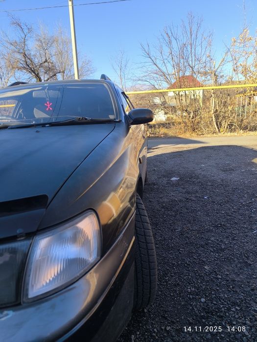 Калдила не битая в отс.