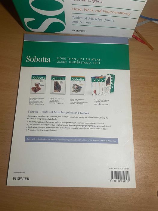 Sobotta Atlas of Anatomy