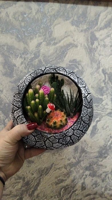 Продам денежное дерево