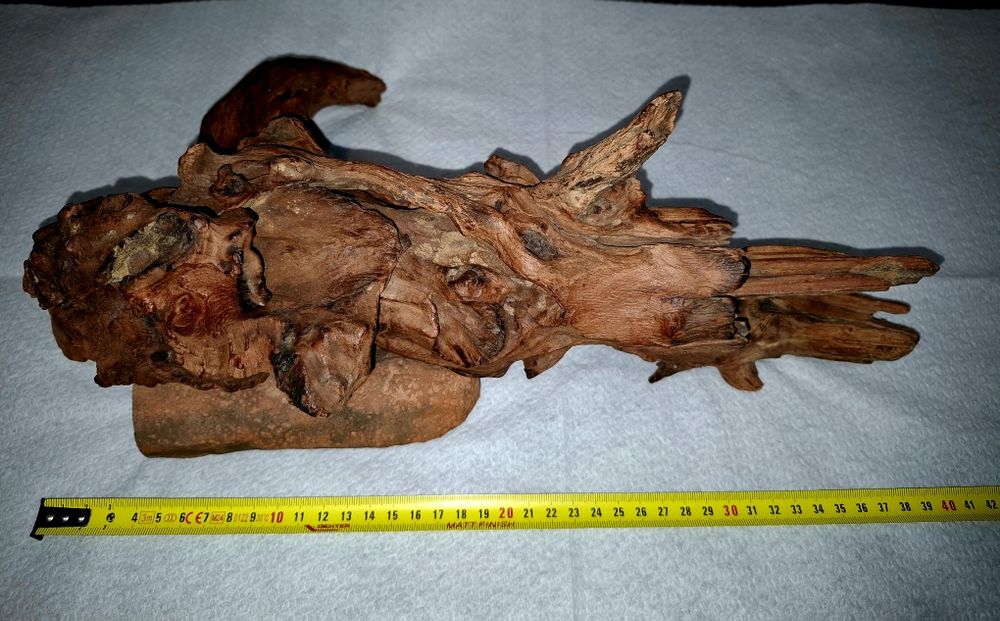 Vand buturuga pentru acvariu