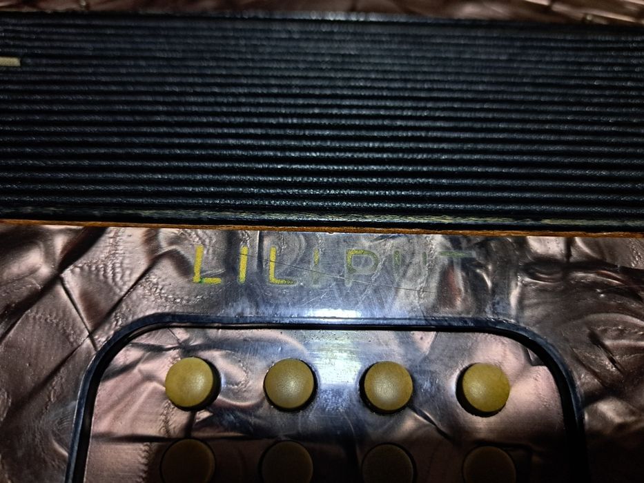 Acordeon Hohner Liliput