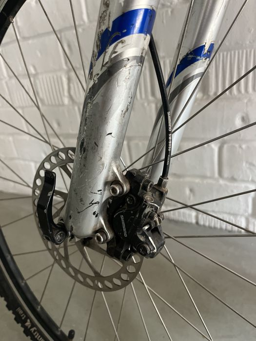 Продам Giant iguana disk