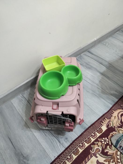 Перенос для кошек