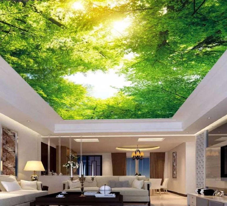 Natyajnoy Natejnoy natijnoy patalok nadojniy nadyojniy potolok арзон