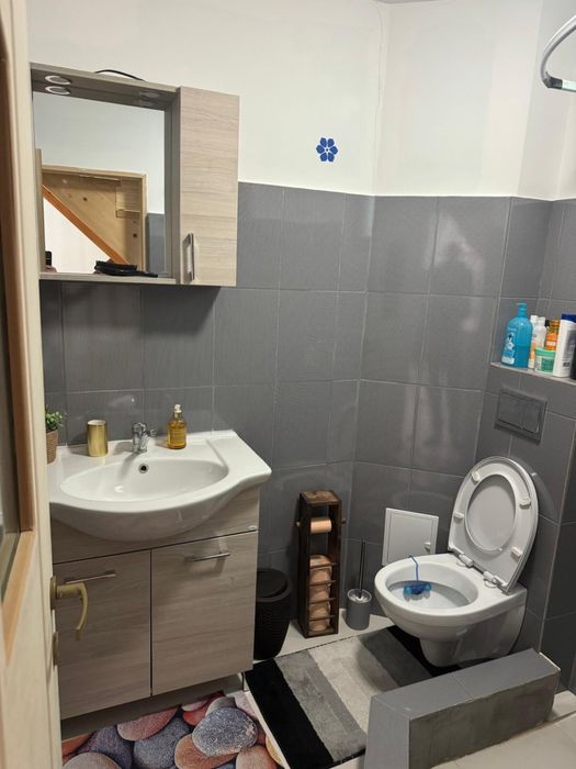 De vanzare sau schimb cabana Belis
