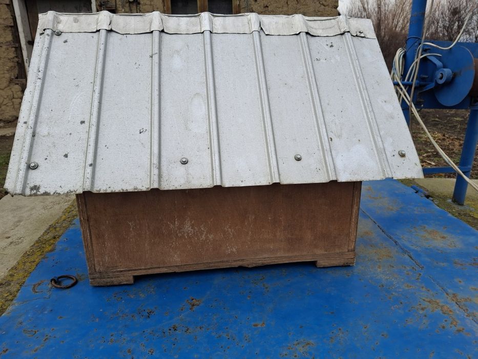 Vând cușcă câine