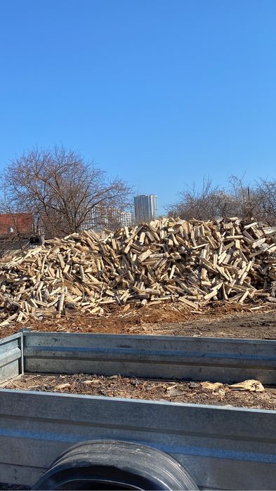 Отын жарылған құрғақ ақ қайың терек