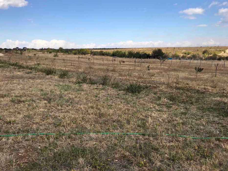 Продава се Земеделски имот в Асеновград -  кв.м за 9999 €/дка - Снимка #7