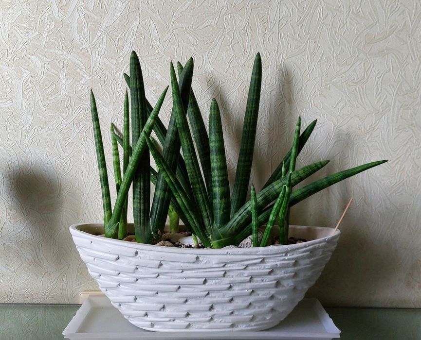 Горшок для цветов