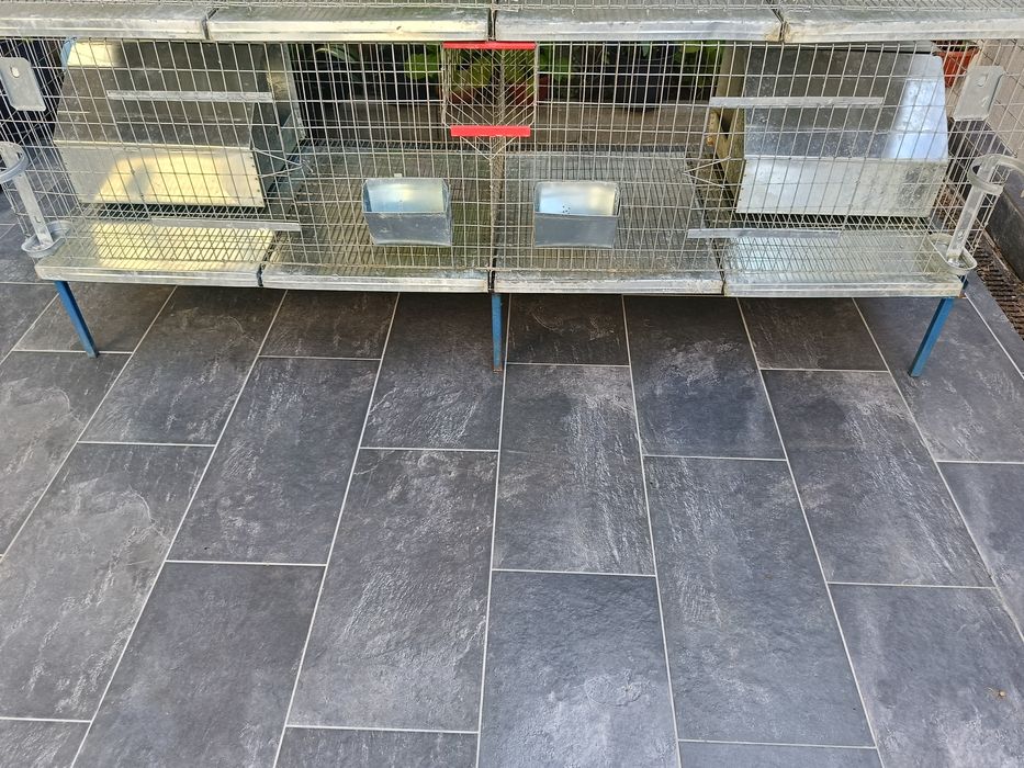 Cuști pentru iepuri