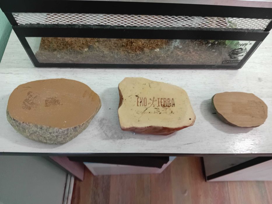 Терариум терароум терариум