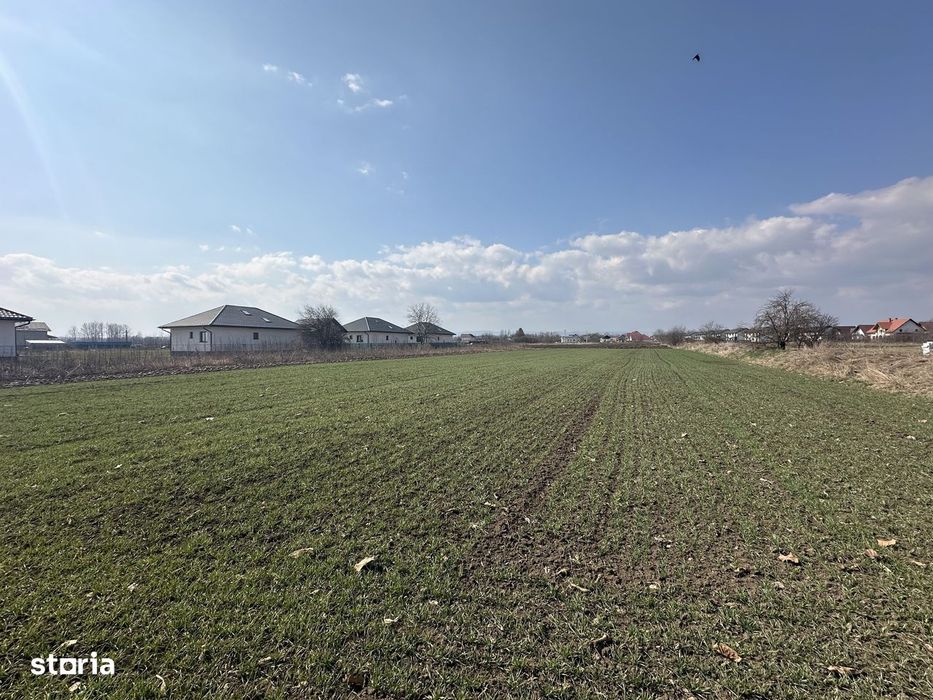 Teren intravilan 20 ari | Rădăuți | Front stradal 19.49 m