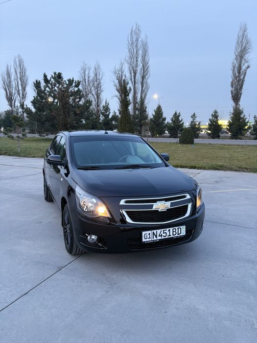 Cobalt Qora Midnight 2025